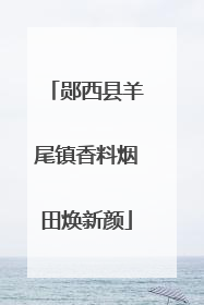 郧西县羊尾镇香料烟田焕新颜