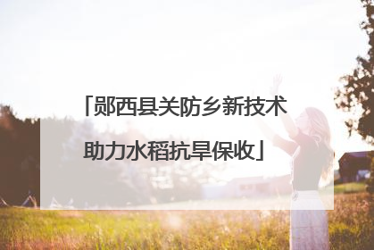 郧西县关防乡新技术助力水稻抗旱保收