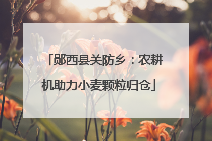 郧西县关防乡：农耕机助力小麦颗粒归仓