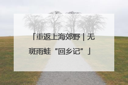 重返上海郊野｜无斑雨蛙“回乡记”