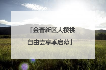 金普新区大樱桃自由尝享季启幕