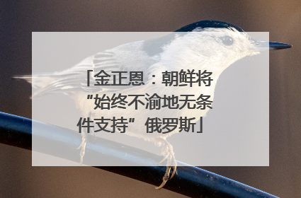 金正恩：朝鲜将“始终不渝地无条件支持”俄罗斯