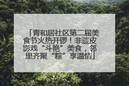青和居社区第二届美食节火热开锣！非遗皮影戏“斗艳”美食，邻里齐聚“粽”享温情
