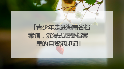 青少年走进海南省档案馆，沉浸式感受档案里的自贸港印记