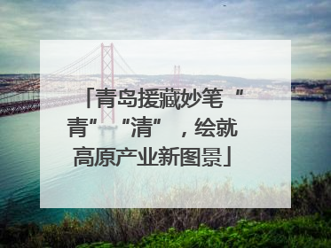 青岛援藏妙笔“青”“清”，绘就高原产业新图景