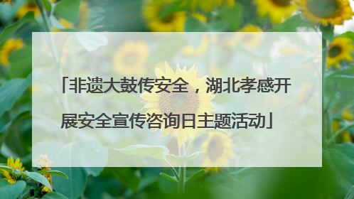 非遗大鼓传安全，湖北孝感开展安全宣传咨询日主题活动