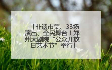 非遗市集、33场演出、全民舞台！郑州大剧院“公众开放日艺术节”举行