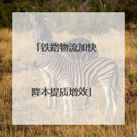铁路物流加快降本提质增效