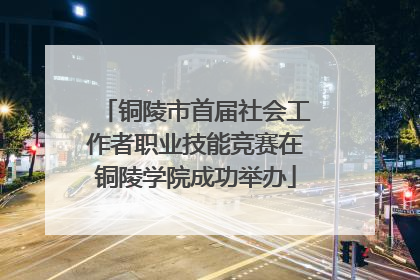 铜陵市首届社会工作者职业技能竞赛在铜陵学院成功举办