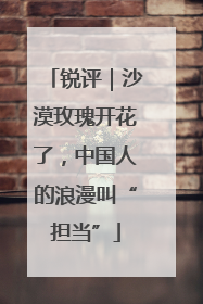锐评｜沙漠玫瑰开花了，中国人的浪漫叫“担当”