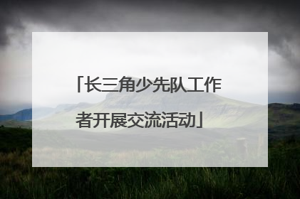 长三角少先队工作者开展交流活动