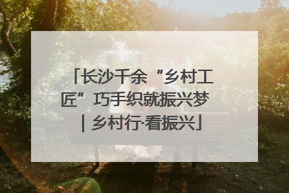长沙千余“乡村工匠”巧手织就振兴梦｜乡村行·看振兴
