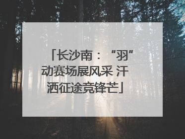 长沙南：“羽”动赛场展风采 汗洒征途竞锋芒
