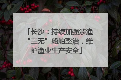 长沙：持续加强涉渔“三无”船舶整治，维护渔业生产安全