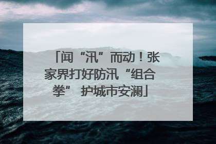闻“汛”而动！张家界打好防汛“组合拳” 护城市安澜