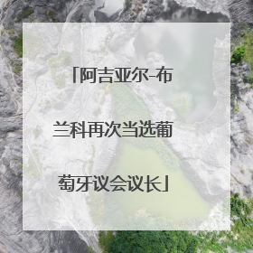 阿吉亚尔-布兰科再次当选葡萄牙议会议长