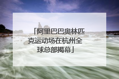 阿里巴巴奥林匹克运动场在杭州全球总部揭幕