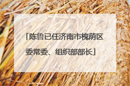 陈鲁已任济南市槐荫区委常委、组织部部长