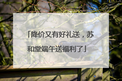 降价又有好礼送，苏和堂端午送福利了