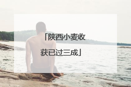 陕西小麦收获已过三成