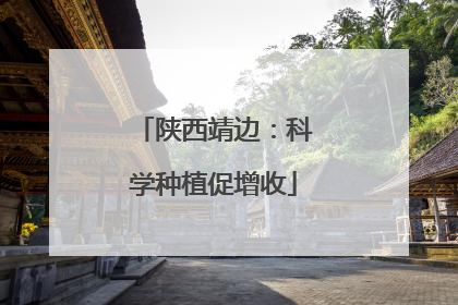 陕西靖边：科学种植促增收