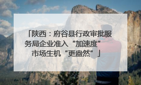陕西：府谷县行政审批服务局企业准入“加速度” 市场生机“更盎然”