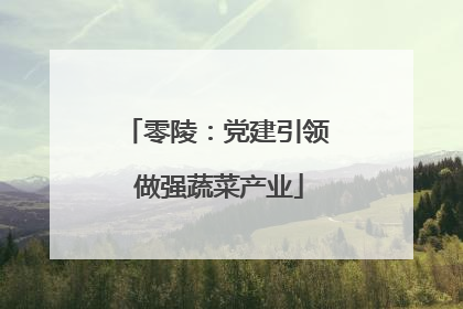 零陵：党建引领 做强蔬菜产业
