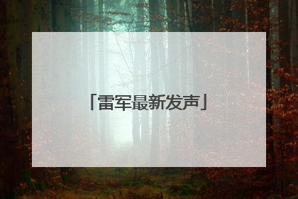 雷军最新发声