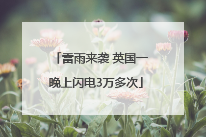 雷雨来袭 英国一晚上闪电3万多次