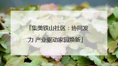 集美铁山社区：协同发力 产业驱动家园焕新
