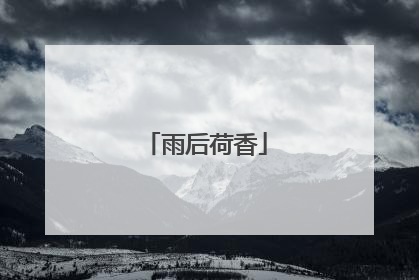 雨后荷香