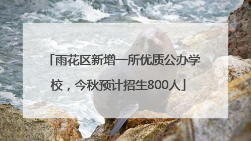 雨花区新增一所优质公办学校，今秋预计招生800人