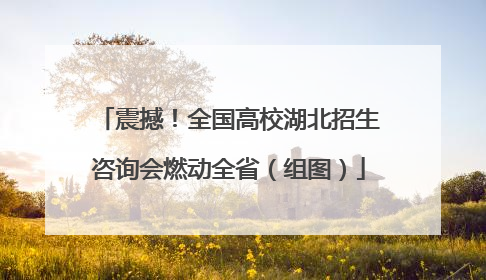 震撼！全国高校湖北招生咨询会燃动全省（组图）
