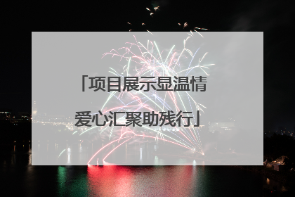 项目展示显温情 爱心汇聚助残行