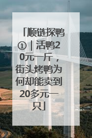 顺链探鸭①｜活鸭20元一斤，街头烤鸭为何却能卖到20多元一只