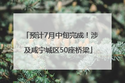 预计7月中旬完成！涉及咸宁城区50座桥梁