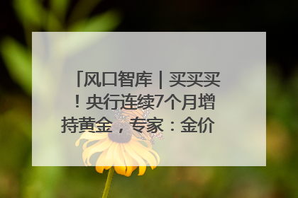 风口智库｜买买买！央行连续7个月增持黄金，专家：金价或仍易涨难跌