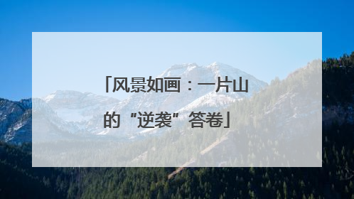风景如画：一片山的“逆袭”答卷