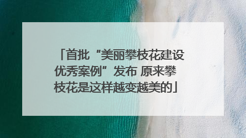 首批“美丽攀枝花建设优秀案例”发布 原来攀枝花是这样越变越美的