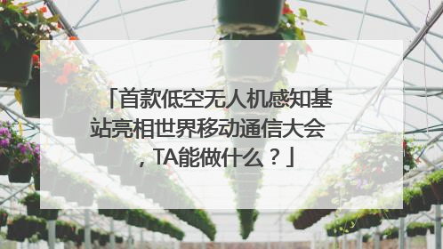 首款低空无人机感知基站亮相世界移动通信大会，TA能做什么？