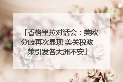香格里拉对话会：美欧分歧再次显现 美关税政策引发各大洲不安