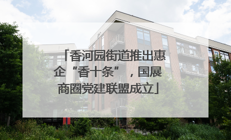 香河园街道推出惠企“香十条”，国展商圈党建联盟成立