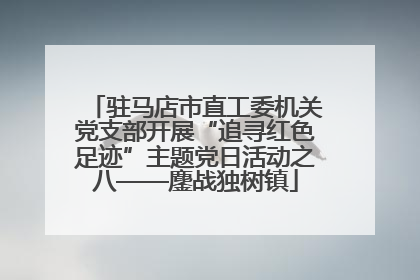 驻马店市直工委机关党支部开展“追寻红色足迹”主题党日活动之八——鏖战独树镇