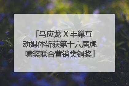 马应龙 X 丰巢互动媒体斩获第十六届虎啸奖联合营销类铜奖