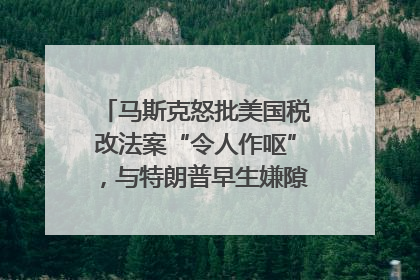 马斯克怒批美国税改法案“令人作呕”，与特朗普早生嫌隙？｜国际识局