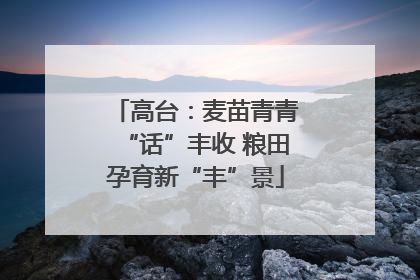 高台：麦苗青青“话”丰收 粮田孕育新“丰”景