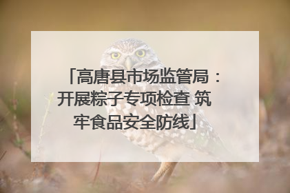 高唐县市场监管局：开展粽子专项检查 筑牢食品安全防线