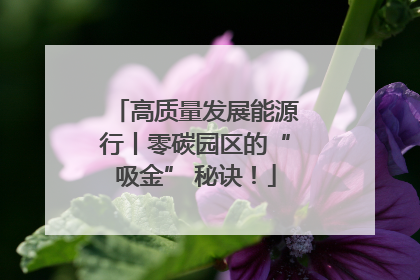 高质量发展能源行丨零碳园区的“吸金” 秘诀！