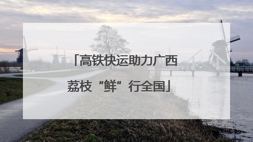 高铁快运助力广西荔枝“鲜”行全国