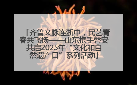 齐鲁文脉连浙中，民艺青春共飞扬——山东携手磐安共启2025年“文化和自然遗产日”系列活动